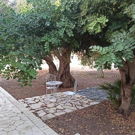 Casa Degli Spartani Pina 시클리 외부 사진